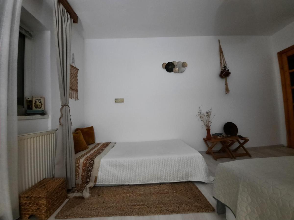 Cocooning In A Lovely Mountain Suite - Two Azuga Zewnętrze zdjęcie