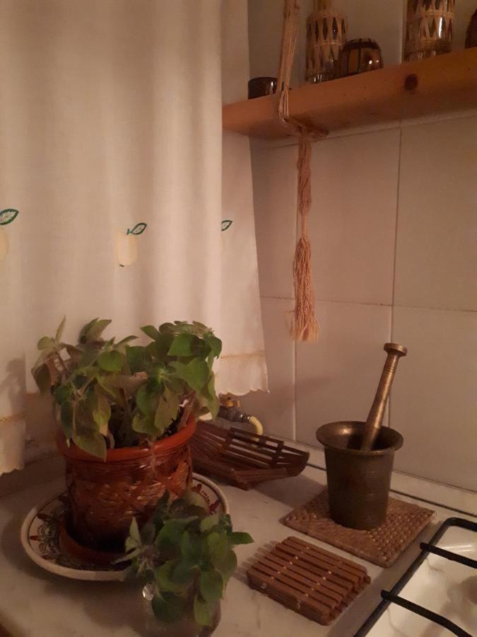Cocooning In A Lovely Mountain Suite - Two Azuga Zewnętrze zdjęcie